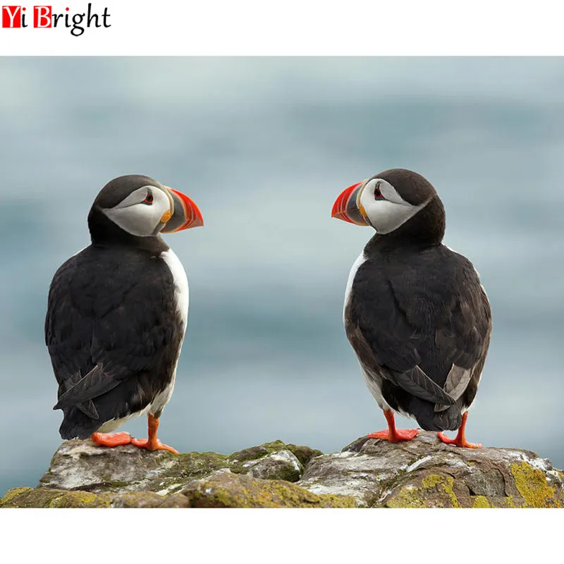 5D DIY Алмазная вышивка крестиком красно-желтая птица полностью квадратная