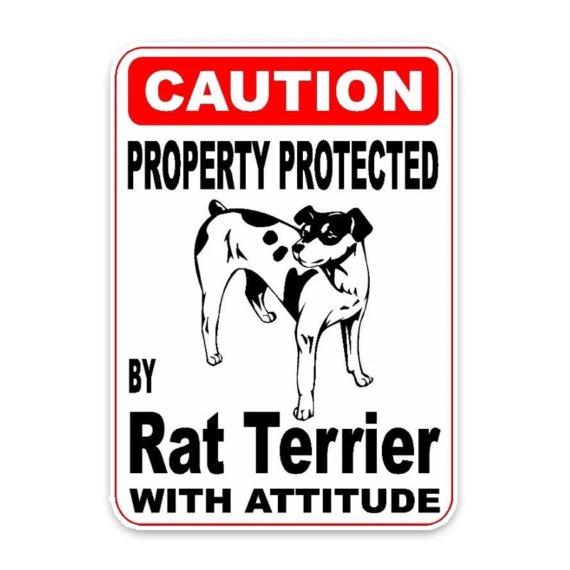 

YJZT 10*14.2CM Property Protected By Rat Terrier Dog Car Decoration Bumper PVC High Quality Car Sticker C1-4749