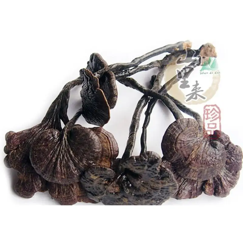 1000g Dried Wild Lingzhi Reishi Mushrooms Ganoderma Lucidum Top Grade Chinese Long Leg Natural Anti-cancer Herbal Tea H2016-35 |