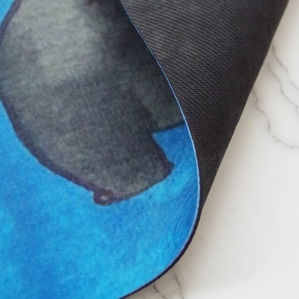 Коврик придверный смешной коврик протрите лапы декоративный для дома и улицы -