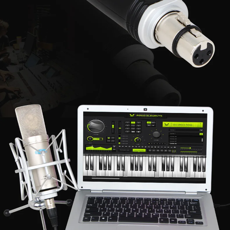 Alctron xu-2 usb конвертер XLR в USB микрофон Предварительный усилитель, компьютерный аудио интерфейс, цифровой аудио конвертер с блоком питания