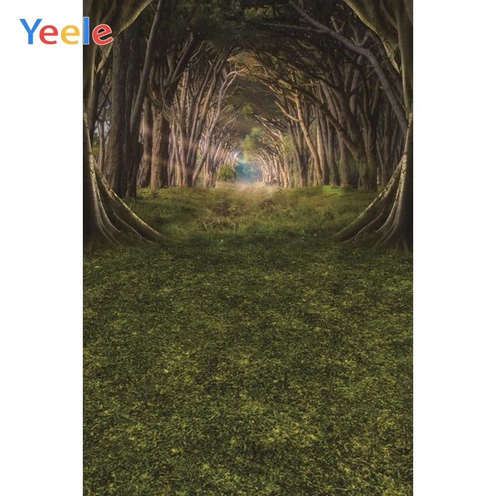 

Фон для студийной фотосъемки Yeele с изображением арки леса луга солнечного света ребенка