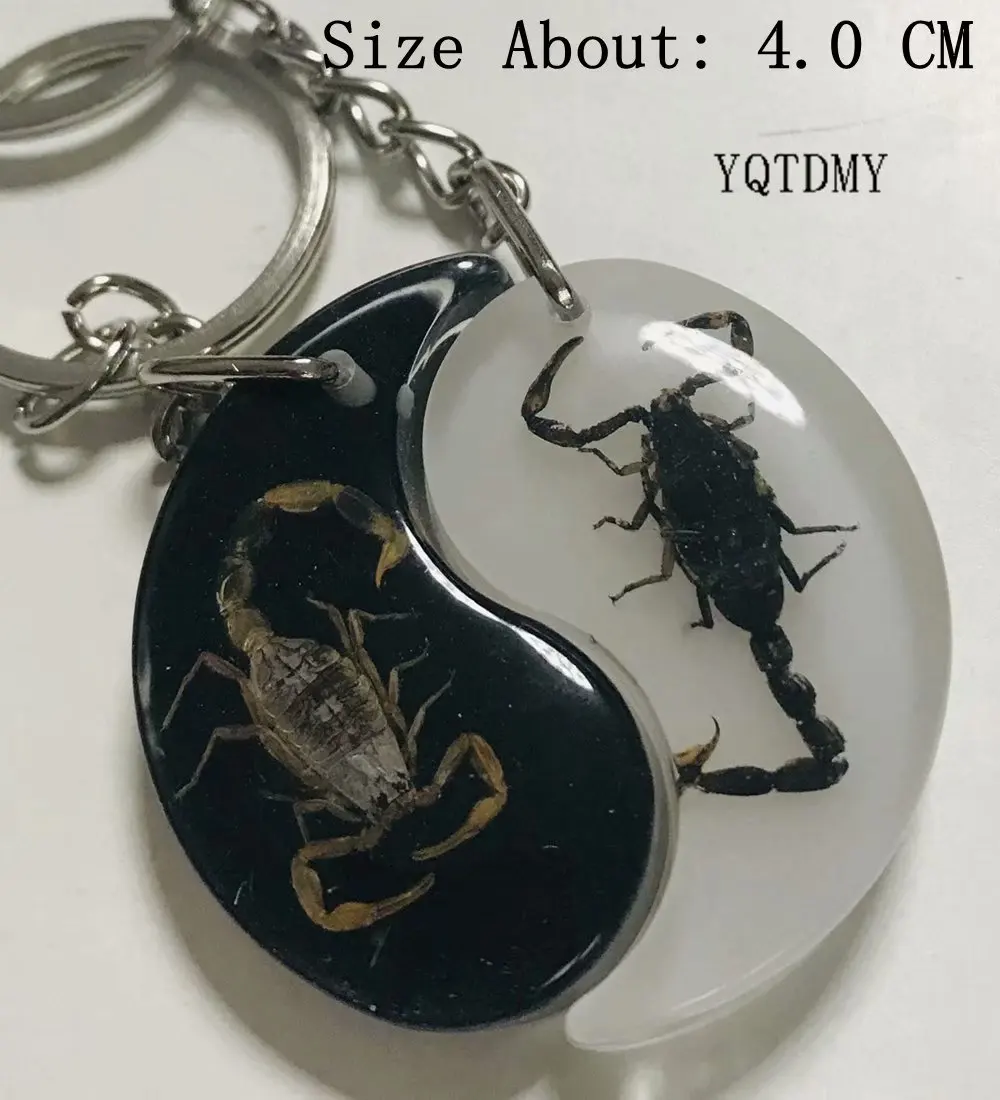 

magic Insect Keychain Gold Black Scorpion Specimens Collecting JEWELRY TAXIDERMY