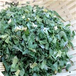 Allium ascalonicum 10 мл набор Coriandrum sativum - Цвет: Allium ascalonicum
