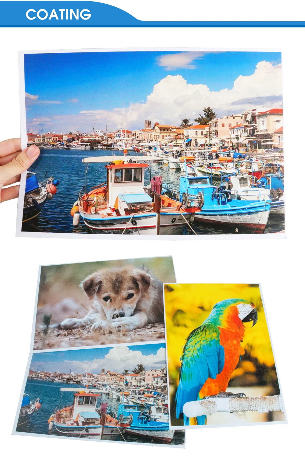 CMYK Supplies 100 листов дюймов фотографического Бумага глянцевая печать Бумага принтер Фотобумага Цвет печати с покрытием для домашнего принтера