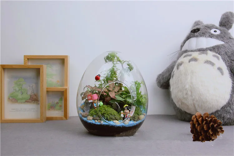 Стеклянная ваза в форме яйца 6 шт. | Дом и сад