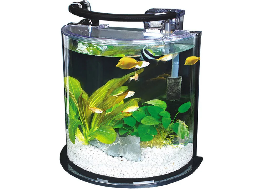 Большой круглый аквариум. Аквариум. Гуппи в круглом аквариуме. Какую рыбку можно завести в аквариуме. Маленький аквариум.