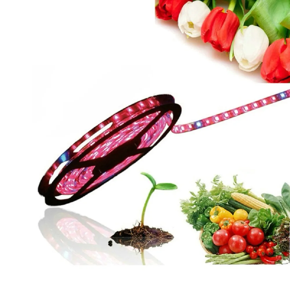 Светодиодный Grow Lights эффективность полосы лампы красные, синие 3:1 4:1 5:1 7:1 8:1 5050 рост 5 м 60 Светодиодный s/m Водонепроницаемый гидропоники растения растут