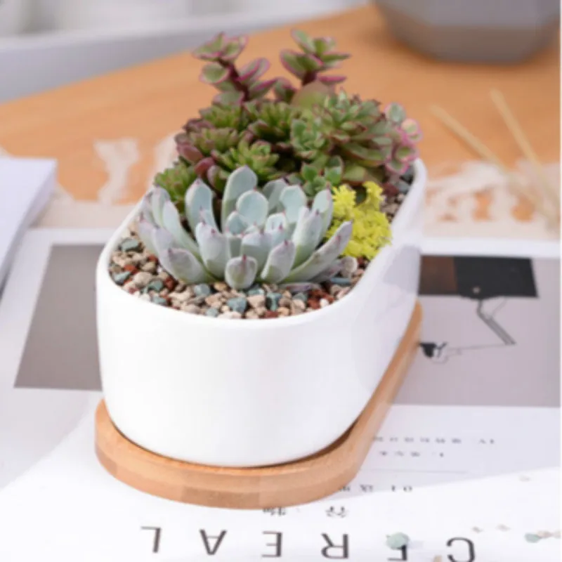 Minimalist White Ceramic Succulent Plant Pot Porcelain Planter Decorative Desktop Flower Home Decor Creative Flowerpot | Дом и сад