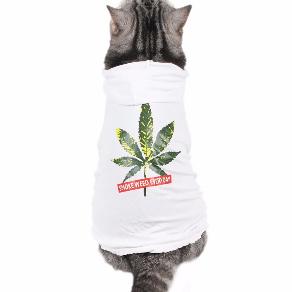 Traumdeutung Одежда для кошек Толстовка Маленькая женская одежда котят костюм собак| |