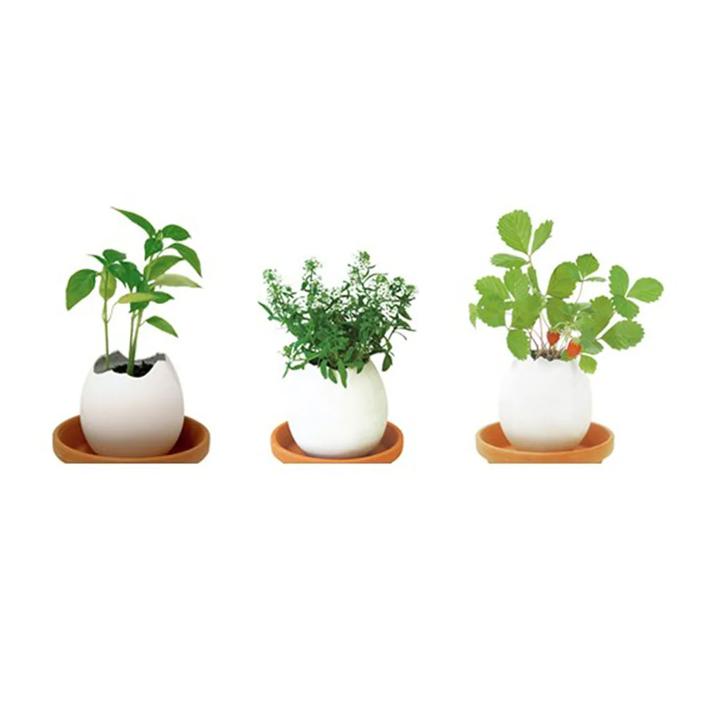 3 шт./компл. мини креативный DIY красивый декор счастливое яйцо в горшке растение