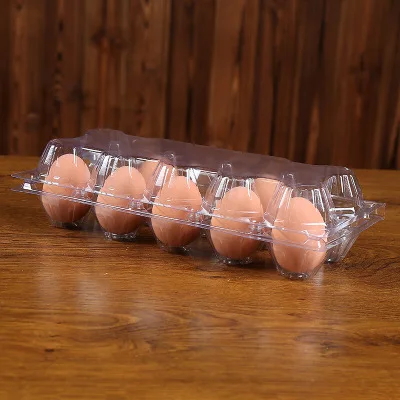 

10 Holes PVC Eggs Container Plastic Clear Egg Packing Storage Boxes Wholesale 240x102x65mm Free Shipping