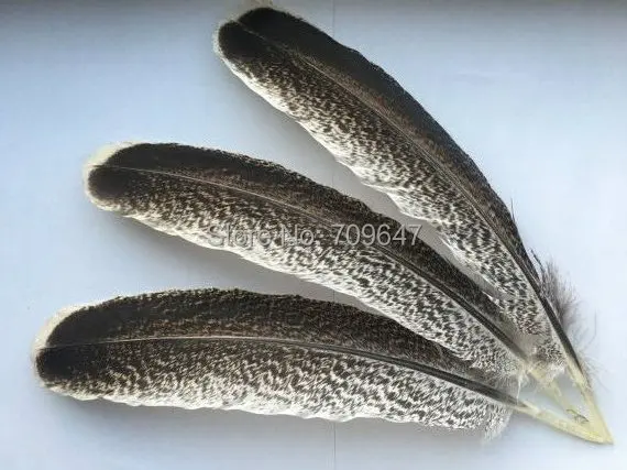 

Feathers! 10Pcs/lot! 20-30cm long Wild Turkey Wing Feathers,Natural Grey Round Wild Turkey Feather Quills