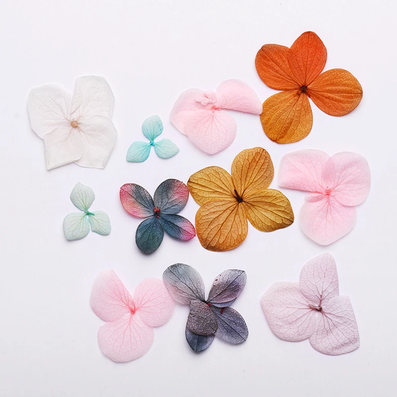 Pattern5 1 коробка сушеные цветы лист DIY украшения для ногтей Красота цветение подсолнухи советы натуральные Подвески наклейки для ногтей аксессуары - Цвет: Pattern5