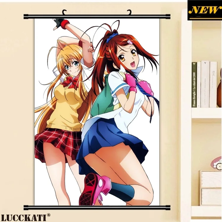 40X60 см Ikkitousen battale Vixens Shiozaki Yuji серия квитанция мультфильм аниме Настенная картина прокрутки холст живопись плакат - Цвет: J