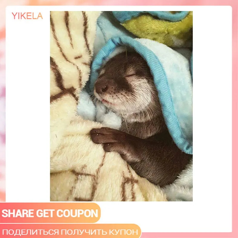 5D домашнее украшение картина со спящей белкой праздничный подарок алмазная