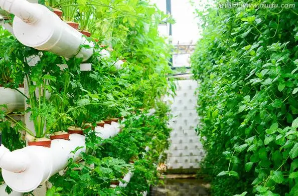 Система гидропоники DIY NFT с 72 штуками сетчатых чашек. Система питательной пленки (NFT) для растений на пластиковых трубах в горшке для рассады.