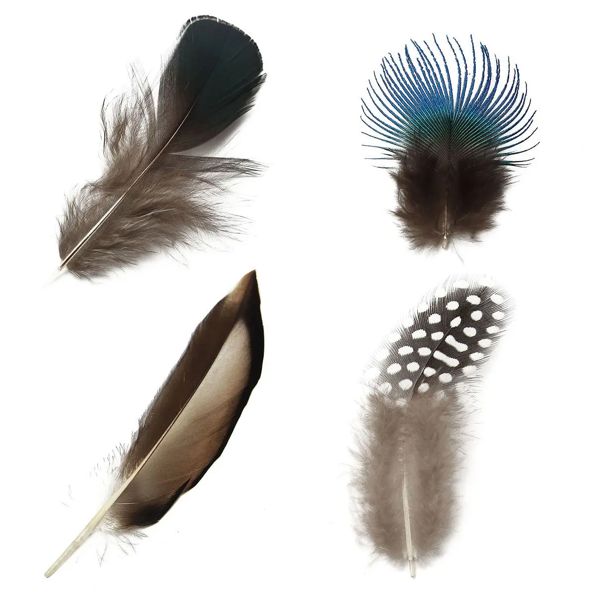 KiWarm Новинка! 20 шт./партия натуральные перья фазана 6 8 дюймов|pheasant feather|feather diyrooster tail