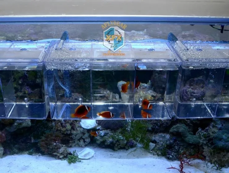 Новые 2 комнаты Betta рыбоводство коробки двойные Гуппи инкубационная изоляция инкубатора Акриловые Мини аквариумные танки прочный