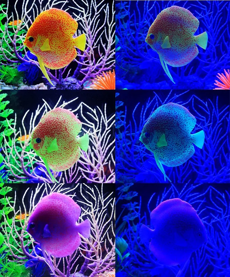 Силиконовый аквариумный искусственный тропический аквариум украшение для рыб