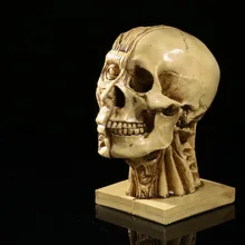 Художественные эскизы точность модель черепа из полимера опорно