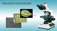 hot sale made in china 40x 1000x trinocular biological microscopetrinocular compound microscope bm l2000a