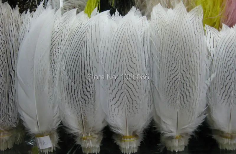 

Free Shipping 100pcs Silver pheasant Feathers 25-30cm 10-12inch white Pheasant silver Feathers DIY Feathers Cloth accessory