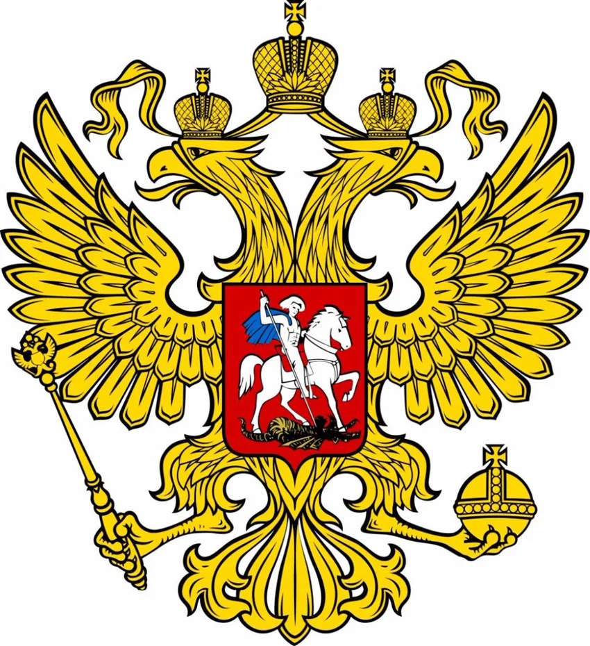 Новинка унисекс хлопок уличная бейсболка герб России вышивка Snapback модные спортивные шапки для мужчин и женщин Кепка Патриот