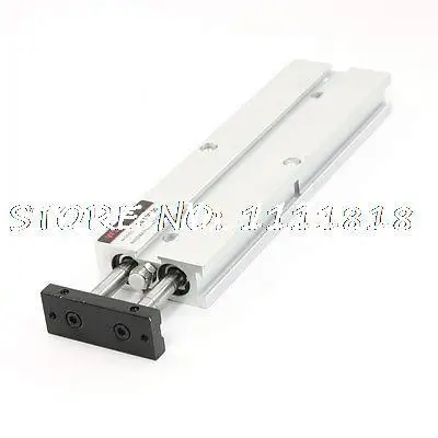 

TN Series Double Action Dual Rod 10 x 100 Air Cylinder