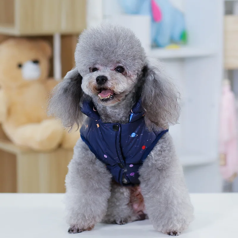 Одежда для маленьких собак с принтом планеты домашних животных Зимнее пальто
