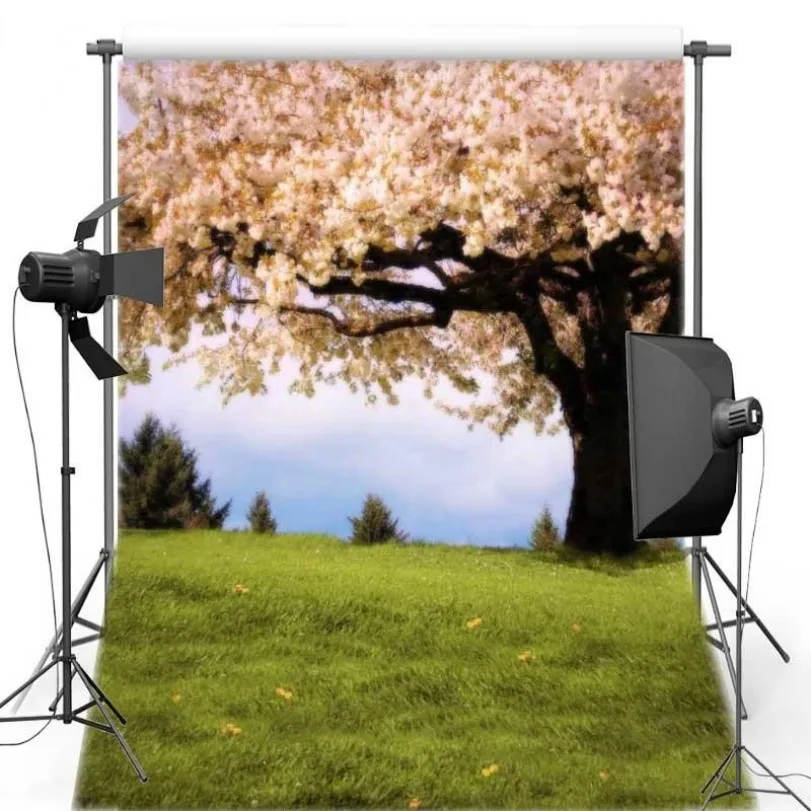 Фон для фотосъемки с изображением голубого неба цветов березы ивы дерева травы