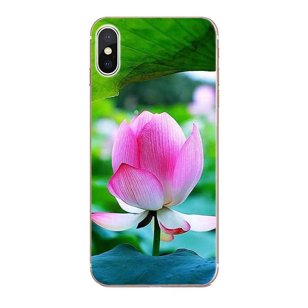 Мягкий чехол для LG G4 G5 G6 K4 K7 K8 K10 2017 V10 V20 V30 Stylus Nexus 5 5X G2 G3 mini spirit | Мобильные телефоны и