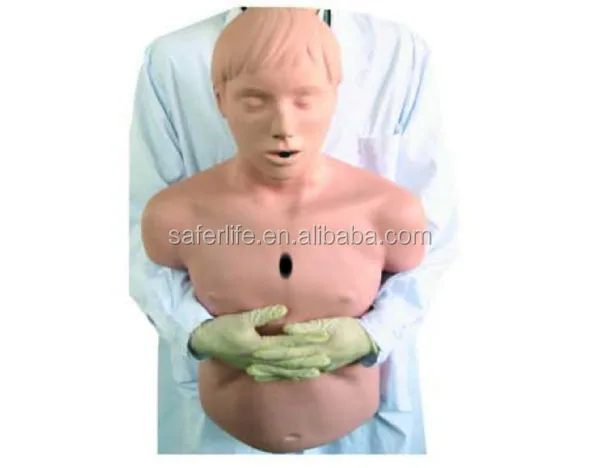 firs t помощь обучение медицинские модели CPR взрослых модель облучения