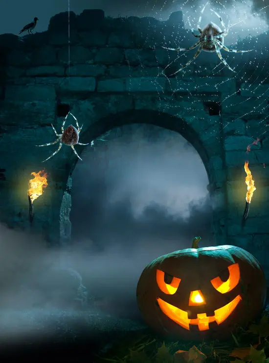 

5x7 Halloween Photography Backdrop Background Cloth Digital Vinyl Photo Background Studio Props Pumpkin Backdrops