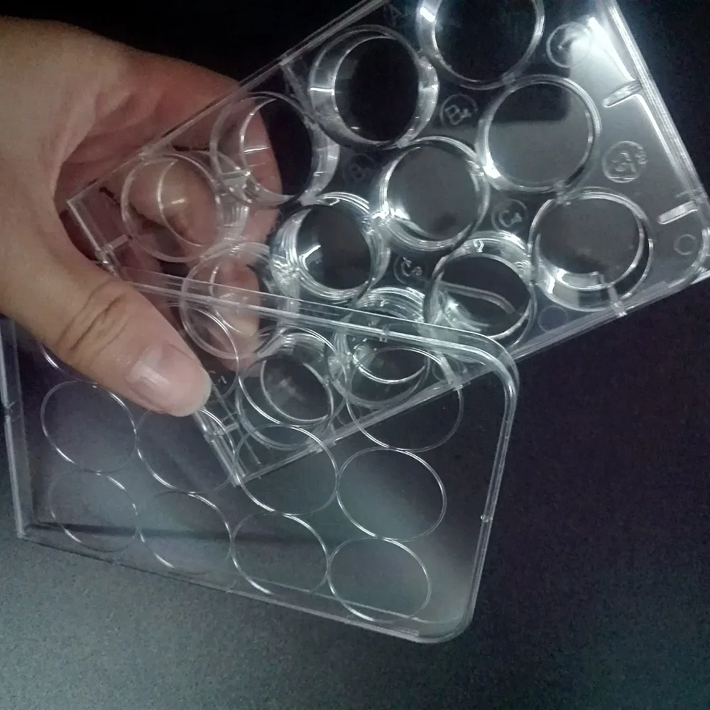 Одноразовая чаша Петри с 12 отверстиями 5 шт. | Канцтовары для офиса и дома