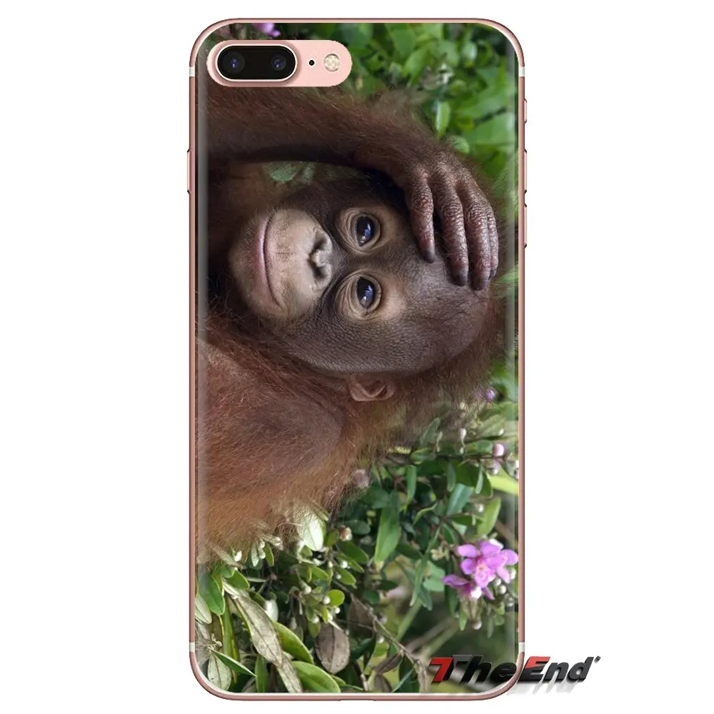 Soft Transparent Cases Covers Monkeys For iPod Touch Apple iPhone 4 4S 5 5S SE 5C 6 6S 7 8 X XR XS Plus MAX |