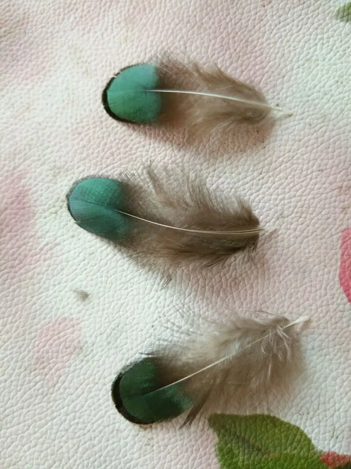 Лидер продаж! 100 шт./лот качественные натуральные дамские перышки фазана 2-3