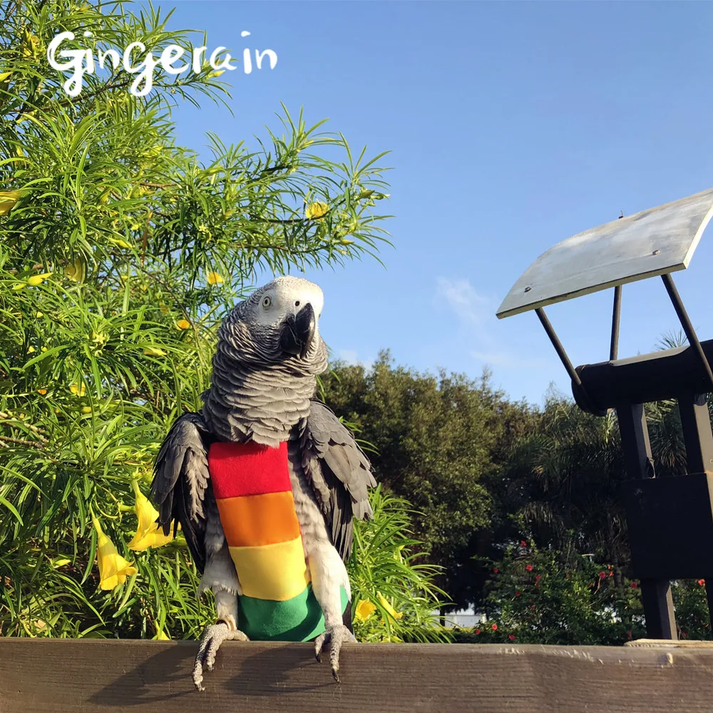 Gingerain одежда с птицами попугай пеленки Радуга оригинальный ручной работы на