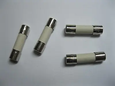 

100 Pcs Fast Blow Ceramic Fuses 8A 250V 5mm x 20mm