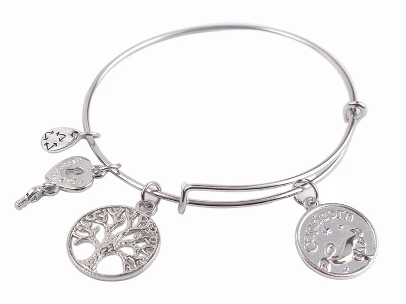 Браслет с подвеской зодиак серебристый оттенок Расширяемый провод 5 шт. |