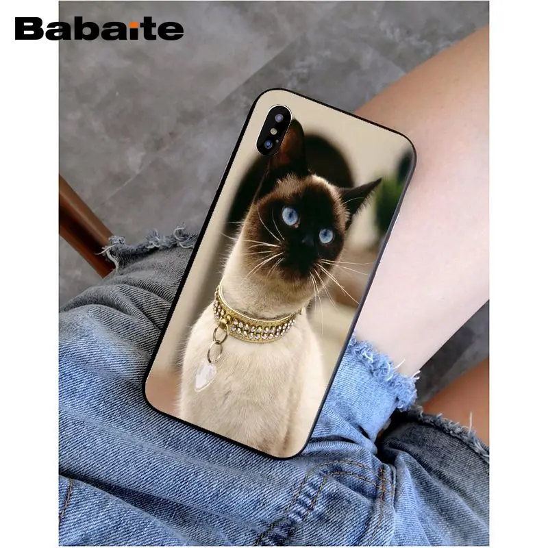 Babaite сиамская кошка красивый чехол для телефона iphone 8 8plus и 7 7plus 6s Plus 6 плюс 5s