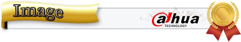 Dahua 4 к NVR NVR4208-4KS2 8CH NVR4216-4KS2 16CH NVR4232-4KS2 32CH H.265/H.264 до 8MP Разрешение для предварительного просмотра и воспроизведения