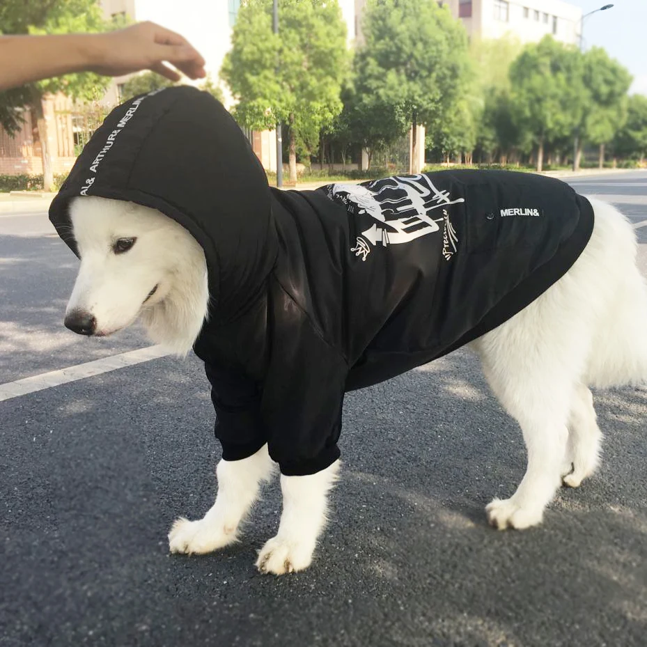 HOOPET Новые Pet Товары для собак одежда теплый хлопок досуг Стиль осень-зима черный балахон белые отпечатки две ноги