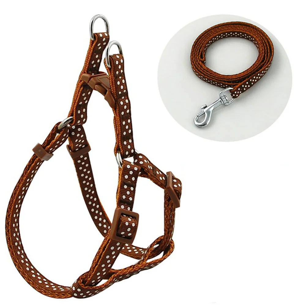 Поводок нейлоновый в горошек для прогулок ширина 1 0 см|pet harness|leash setwalking leash |
