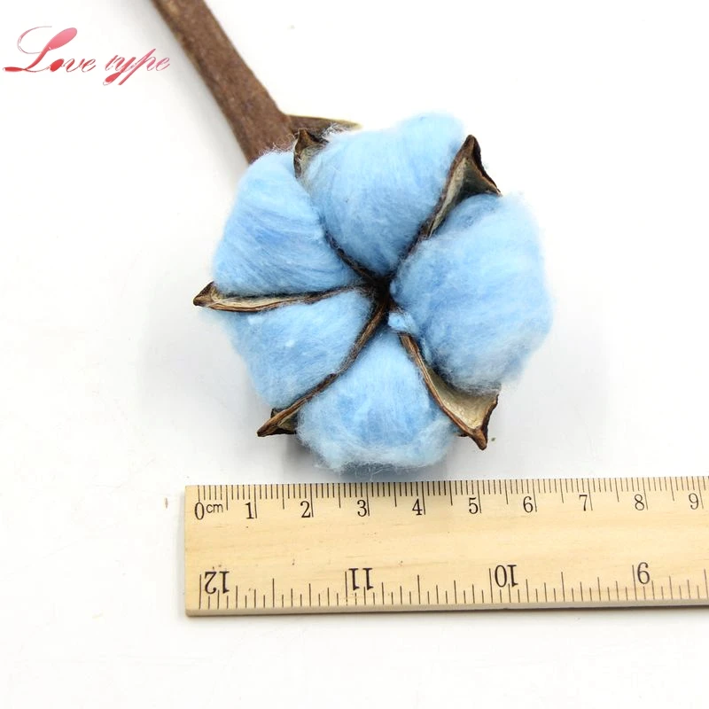 5 шт. цветные сушеные цветы из натурального хлопка|flowers for|dried pressed flowersflower for home |