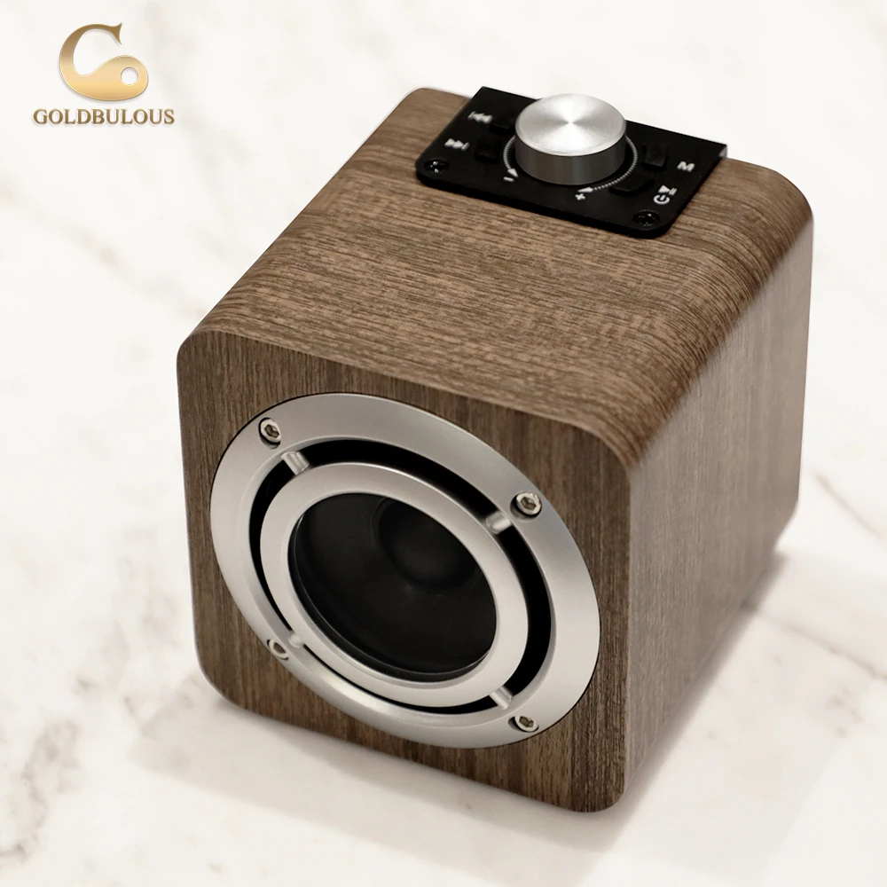Goldbulous Bluetooth Динамик fm Радио 8 Вт Портативный Беспроводной мини PA Hi-Fi стерео звук