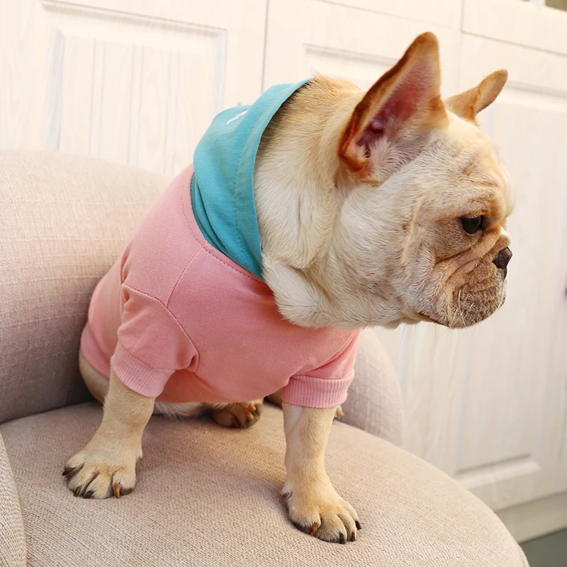 Dog clothes New Popular Spring Pet dog coats Blue Bowder Fighting Champion Hoodies Two-Legged Clothes For Small Pets S-XXL | Дом и сад