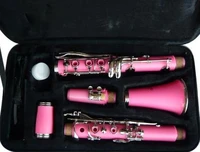 brand new pink concert band clarinet wcase warranty