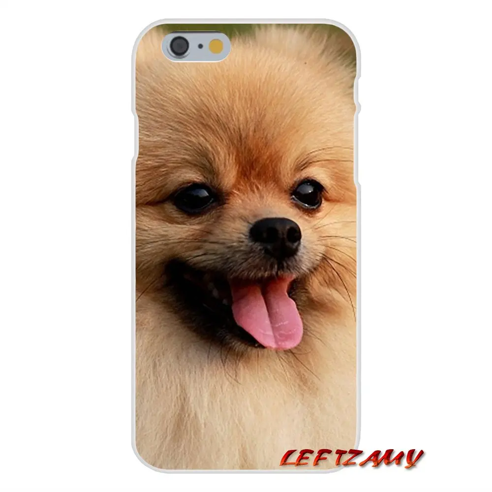 Аксессуары для телефона Чехлы iPhone X 4 4S 5 5S 5C SE 6 6S 7 8 Plus синий нос Pitbull Pomeranian DOG |