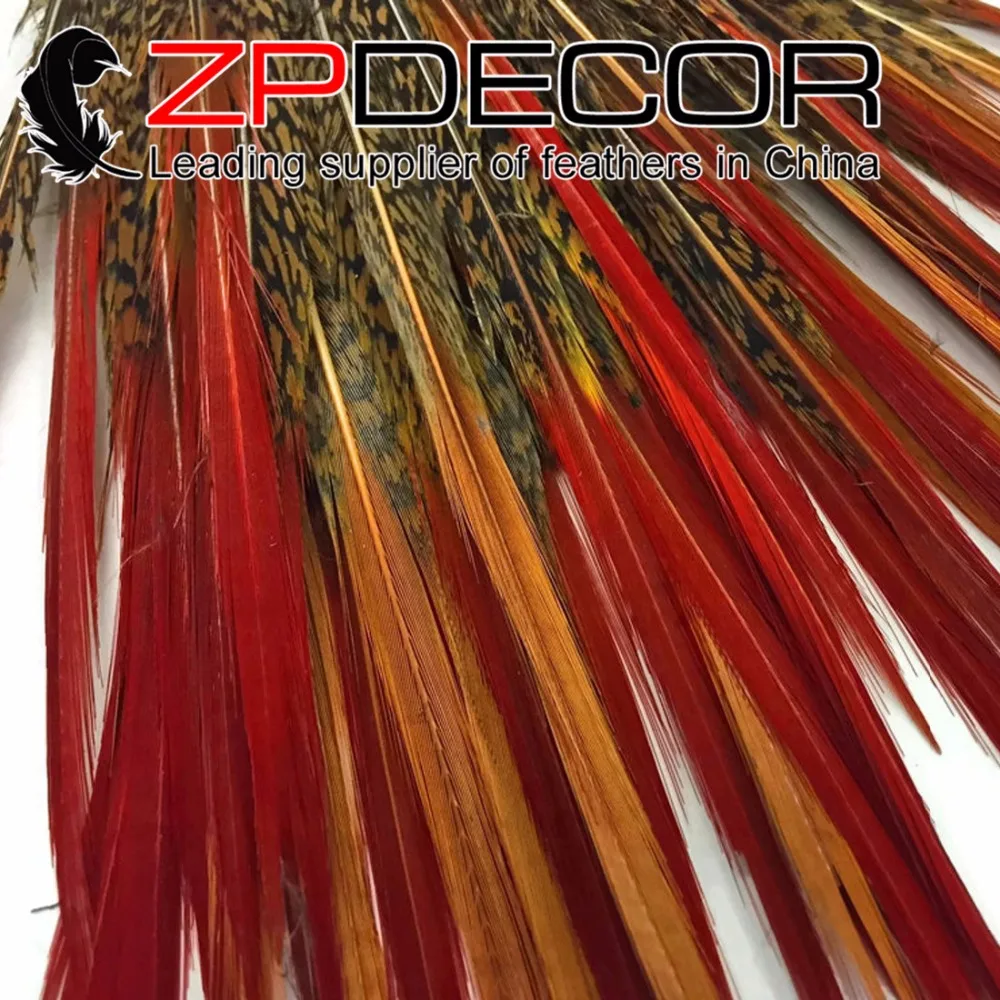 ZPDECOR 8-10 дюймов (20-25 см) 50 шт ручной выбор красивый натуральный Золотой фазан